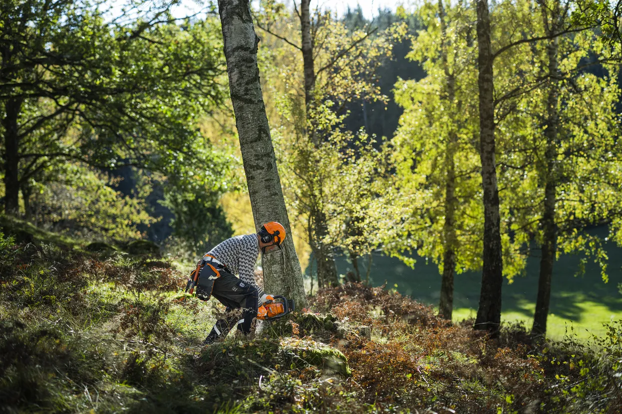 Husqvarna 450S