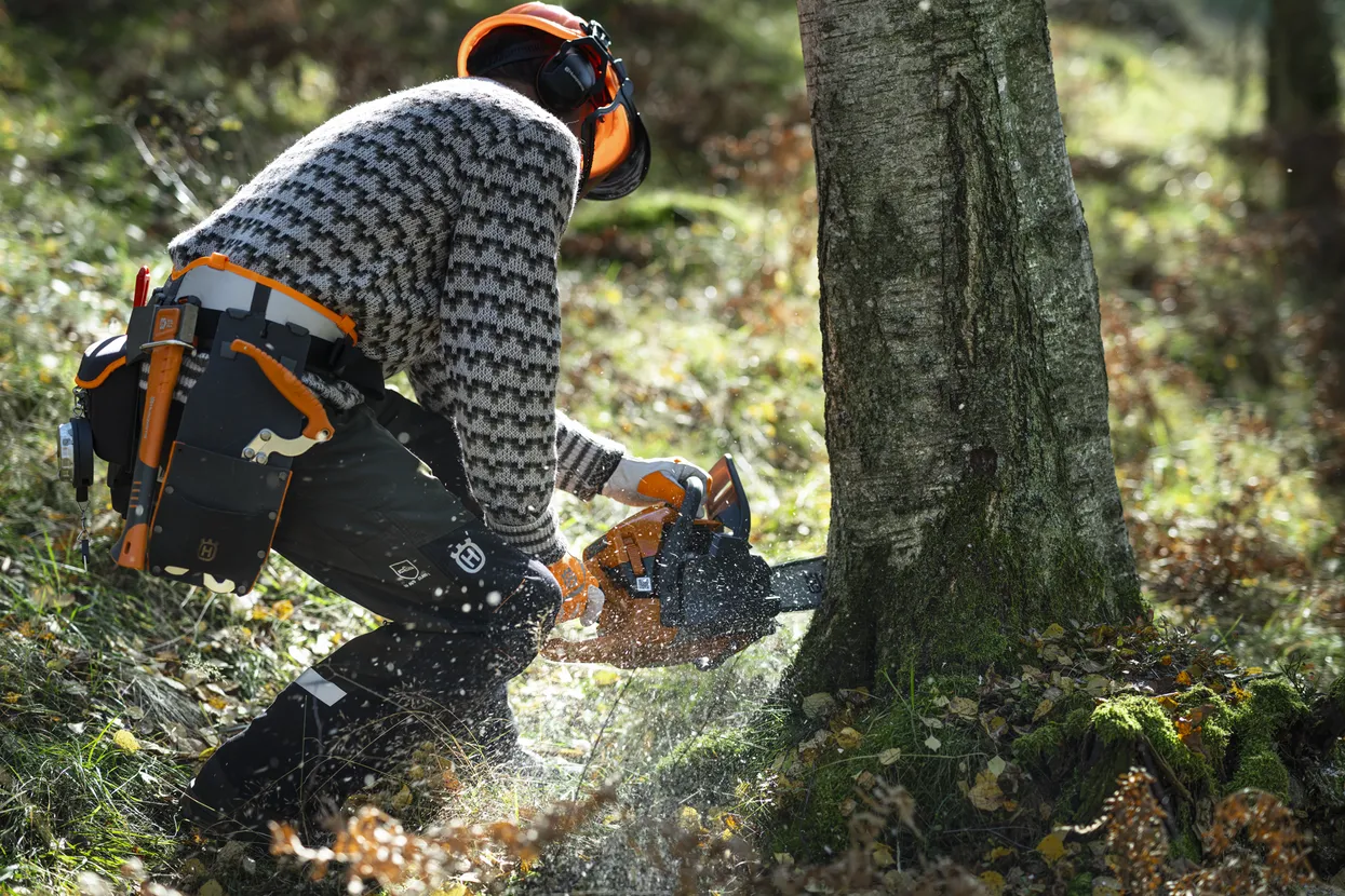 Husqvarna 450S