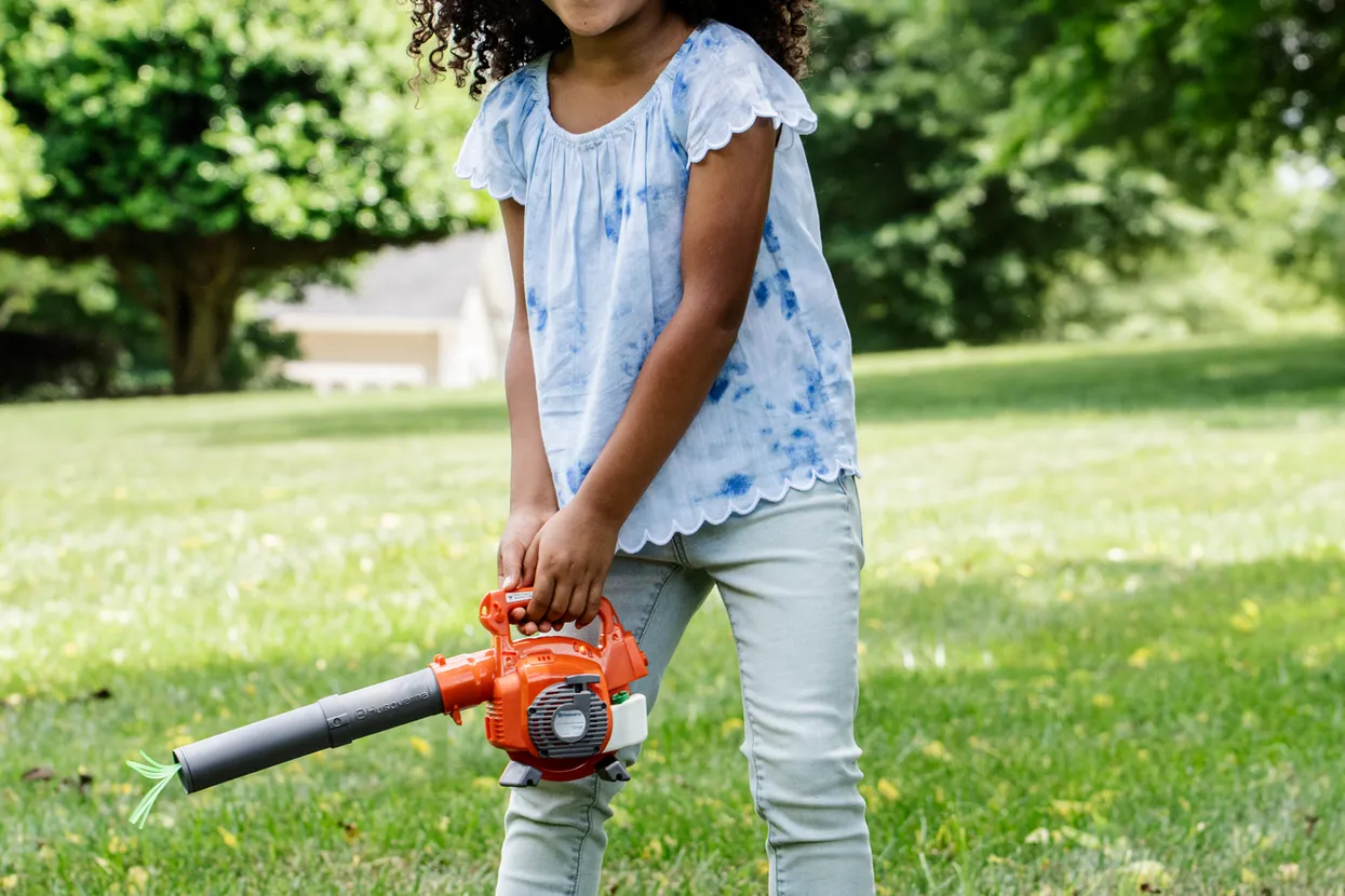 Jucărie Refulator de frunze