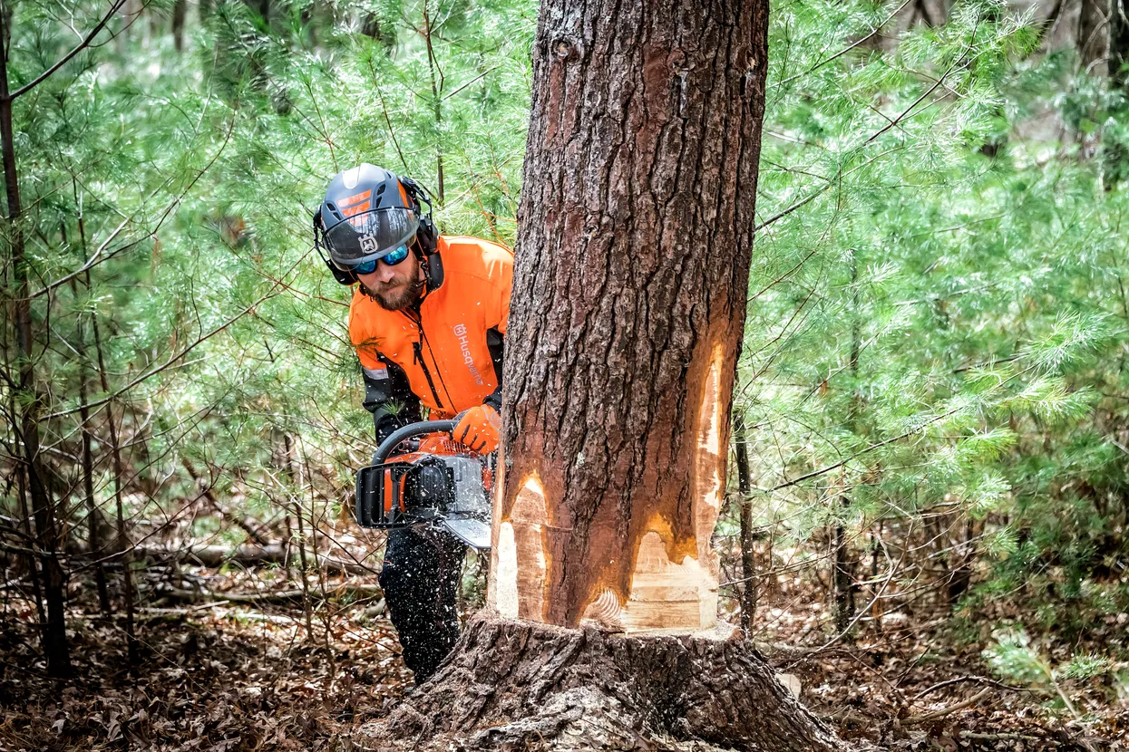 Lanț X-CUT C85 Chisel 3/8” 1.5mm | 68DL / 18"