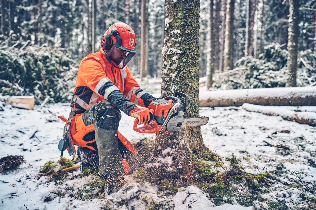 Husqvarna 560 XP® Mark II