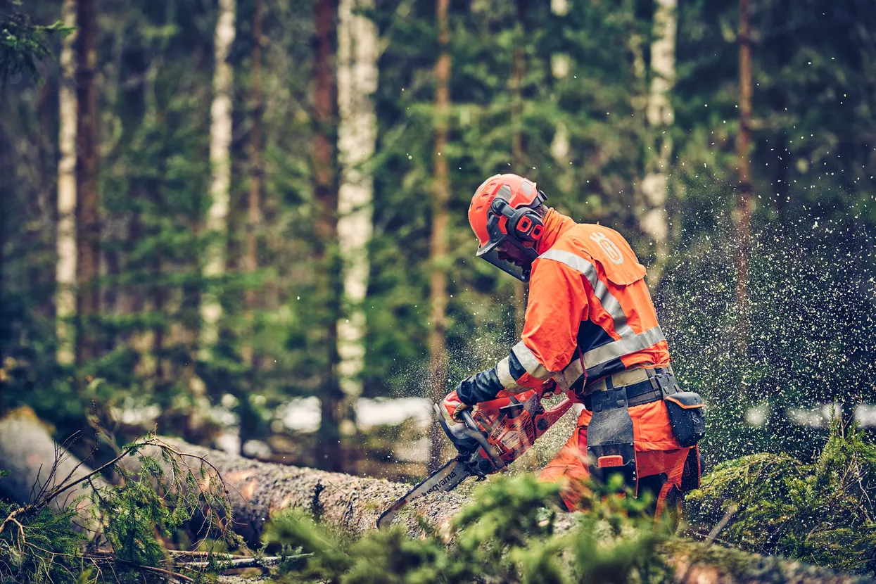 Husqvarna 560 XP® Mark II